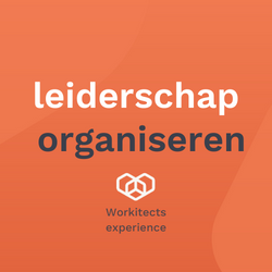 leiderschap organiseren